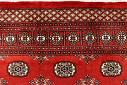 Orange Red Bokhara 5' 11 x 9' 5 - No. 60259 - ALRUG Rug Store
