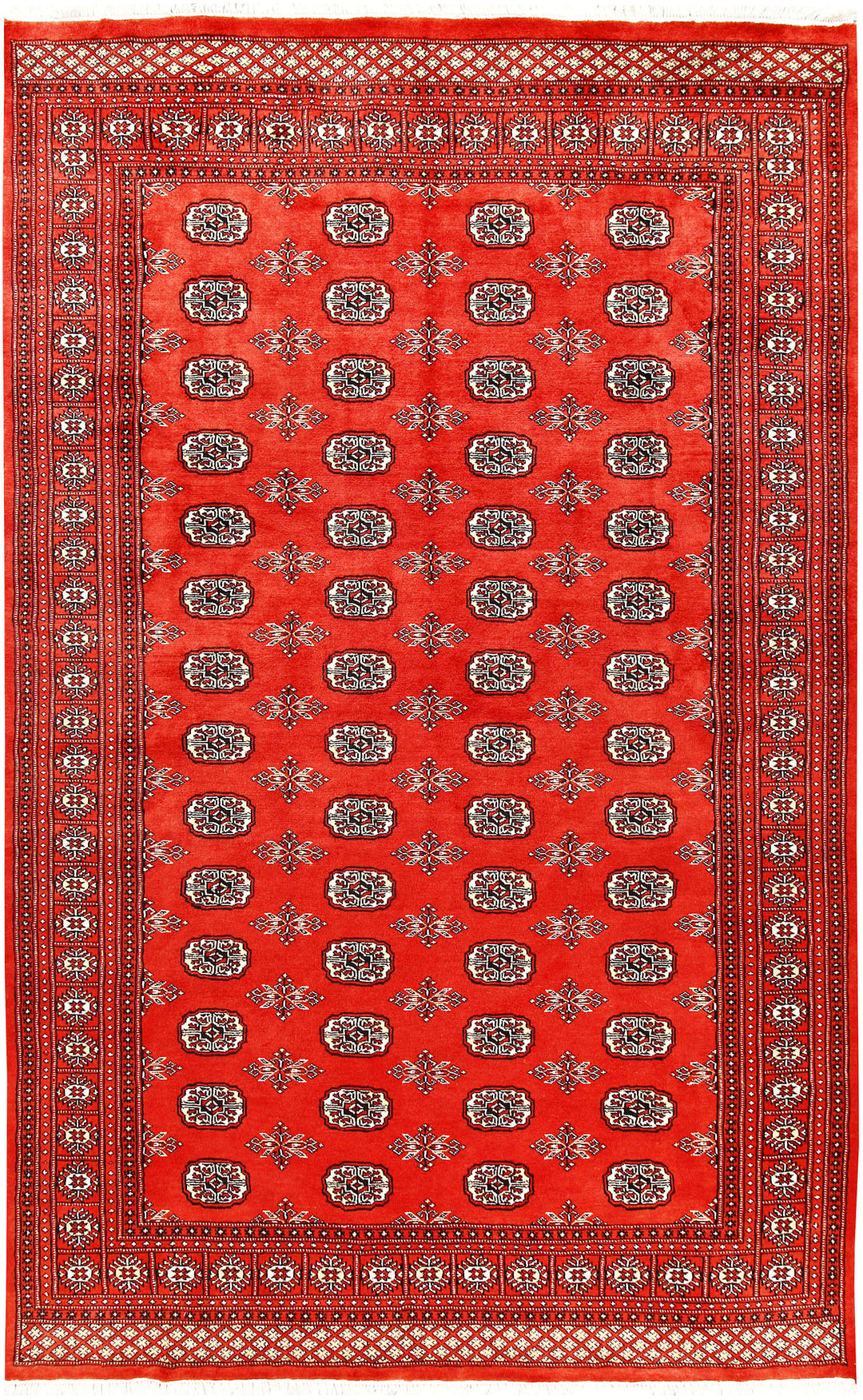 Orange Red Bokhara 5' 11 x 9' 5 - No. 60259 - ALRUG Rug Store