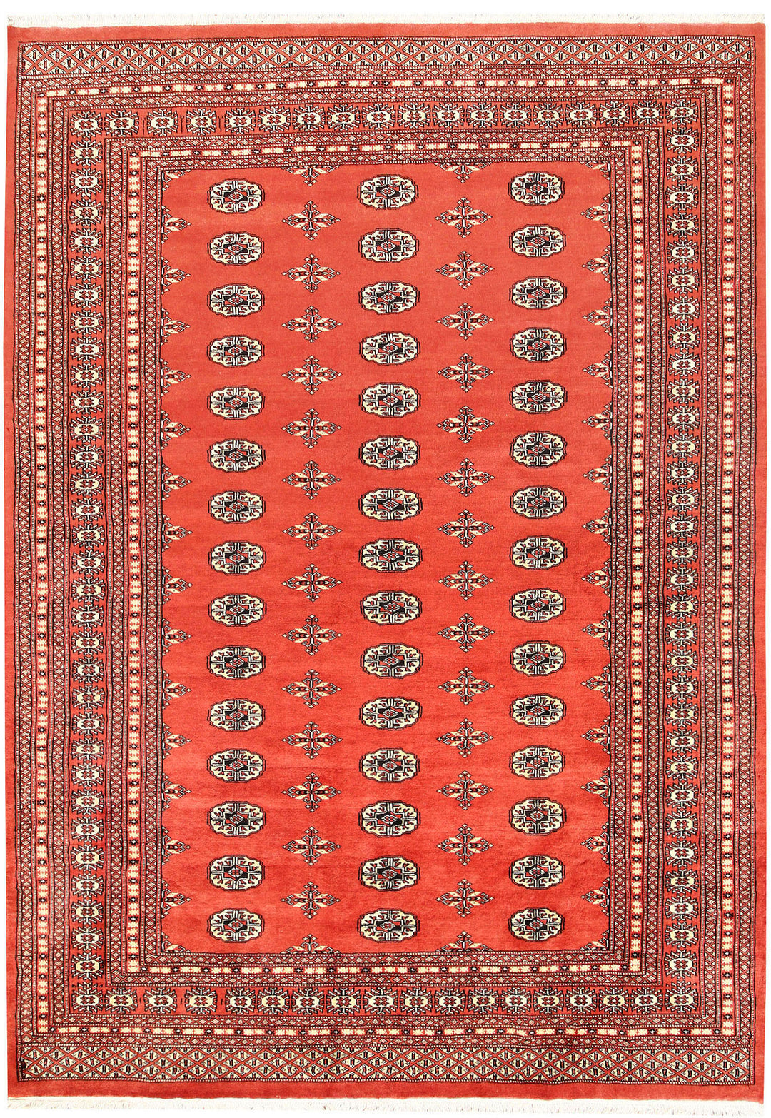 Coral Bokhara 6' 2 x 8' 10 - No. 60261 - ALRUG Rug Store