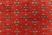 Coral Butterfly 6' 1 x 9' 2 - No. 60262 - ALRUG Rug Store