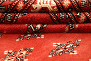 Coral Butterfly 6' 1 x 9' 2 - No. 60262 - ALRUG Rug Store