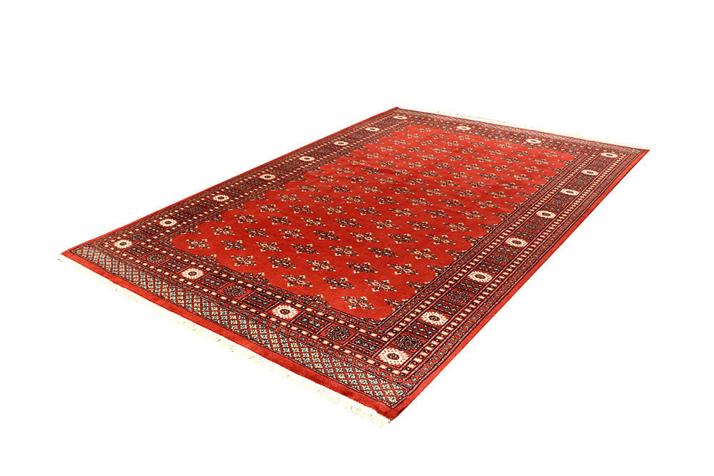 Coral Butterfly 6' 1 x 9' 2 - No. 60262 - ALRUG Rug Store