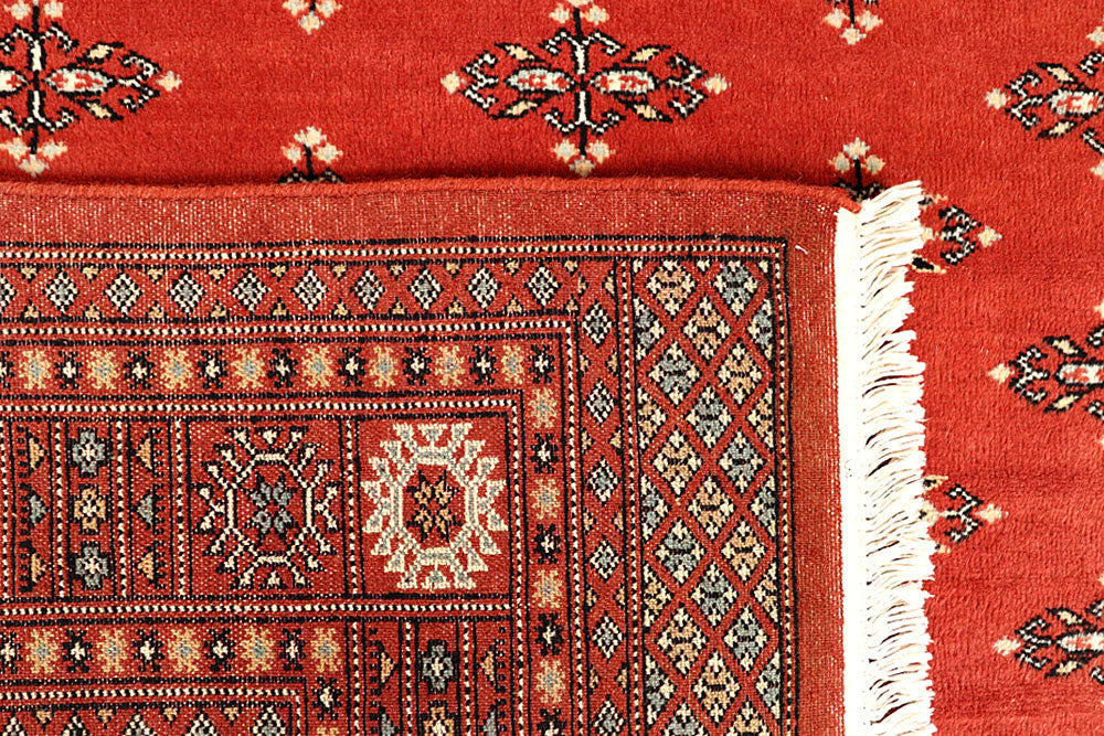 Coral Butterfly 6' 1 x 9' 2 - No. 60262 - ALRUG Rug Store