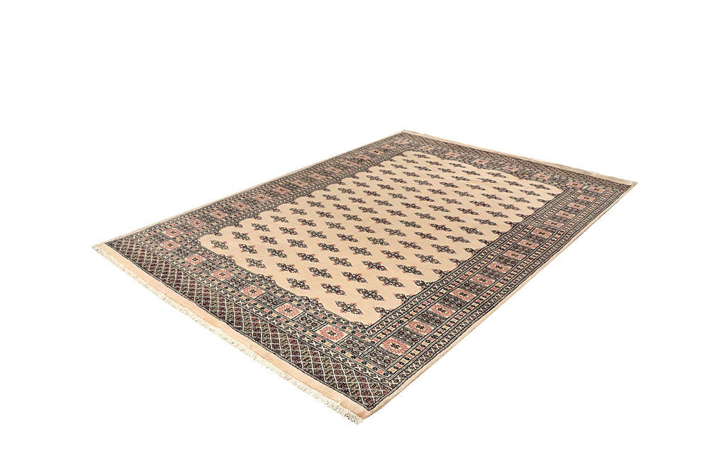 Bisque Butterfly 6' 1 x 8' 8 - No. 60295 - ALRUG Rug Store