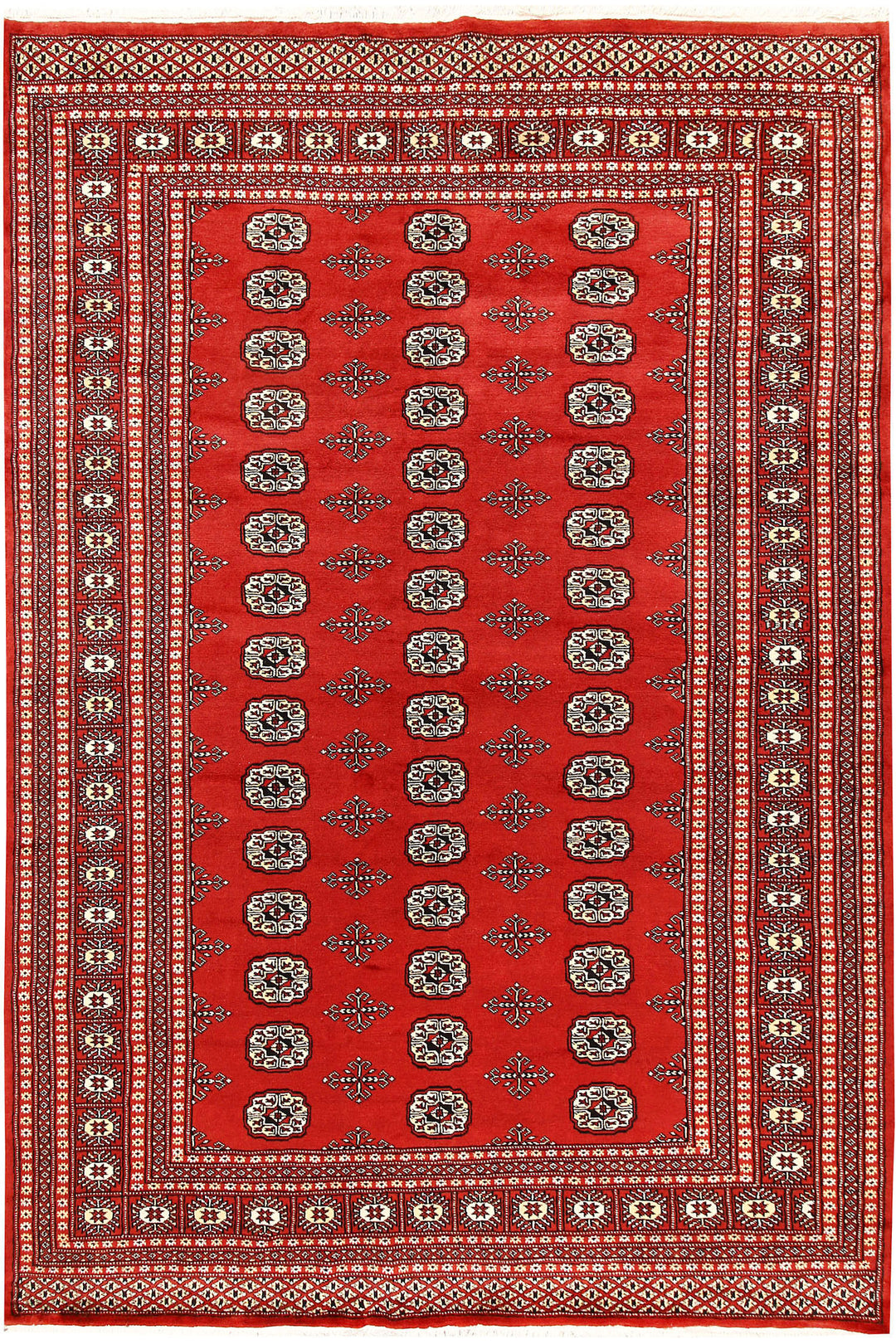 Orange Red Bokhara 6' 1 x 8' 10 - No. 60304 - ALRUG Rug Store