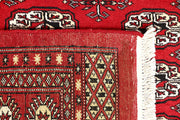 Red Bokhara 4'  11" x 8'  1" - No. QA50135