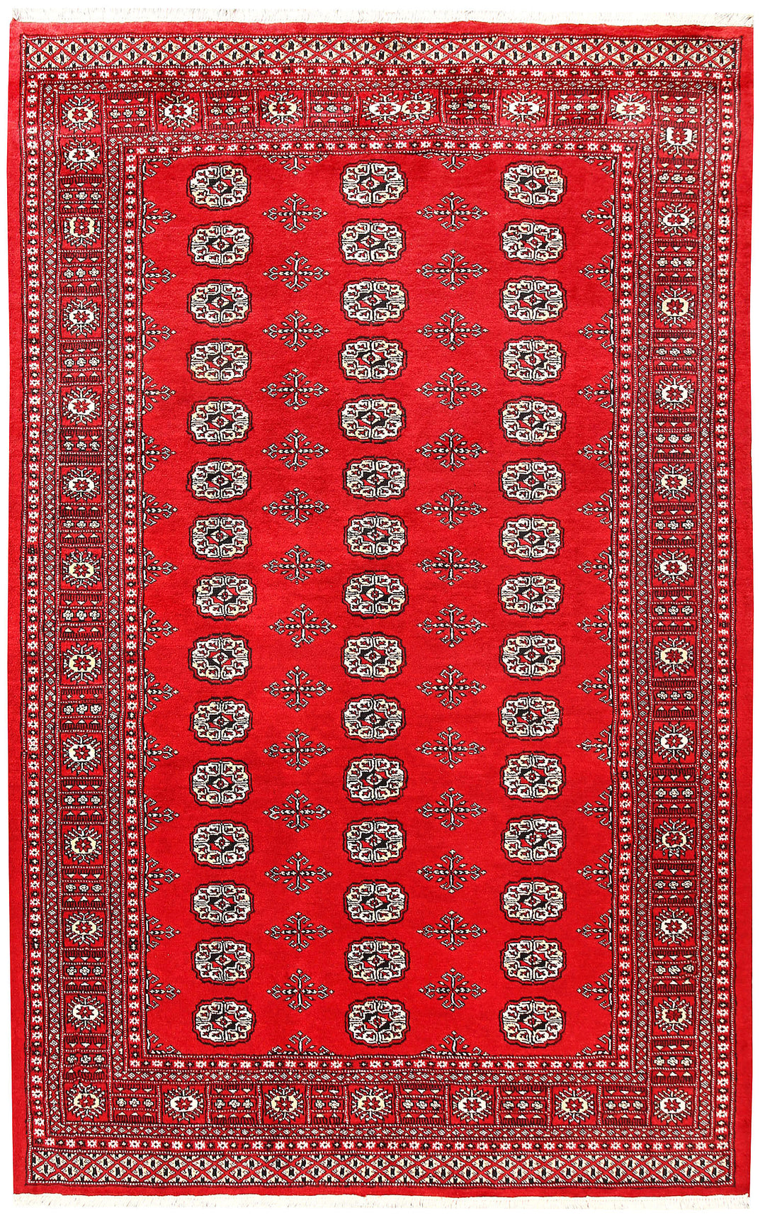 Red Bokhara 5' 7 x 8' 9 - No. 60415 - ALRUG Rug Store