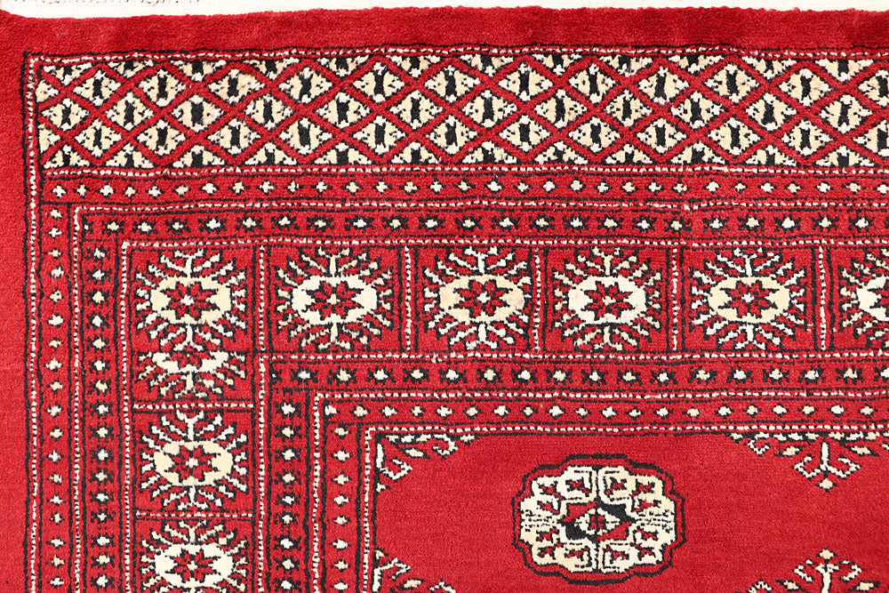 Firebrick Bokhara 5' 6 x 8' 3 - No. 60446 - ALRUG Rug Store