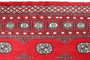 Red Bokhara 5' 9 x 8' 2 - No. 60451 - ALRUG Rug Store