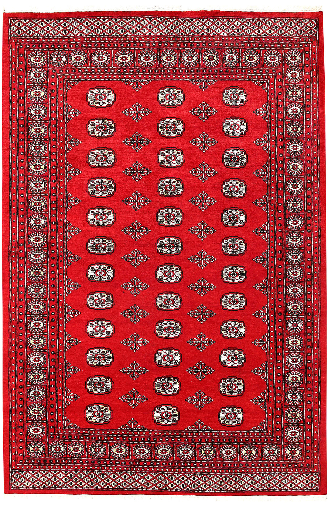 Firebrick Bokhara 5' 7 x 8' 5 - No. 60463 - ALRUG Rug Store