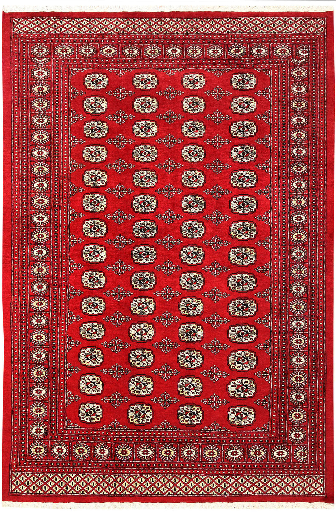Firebrick Bokhara 5' 7 x 8' 2 - No. 60473 - ALRUG Rug Store