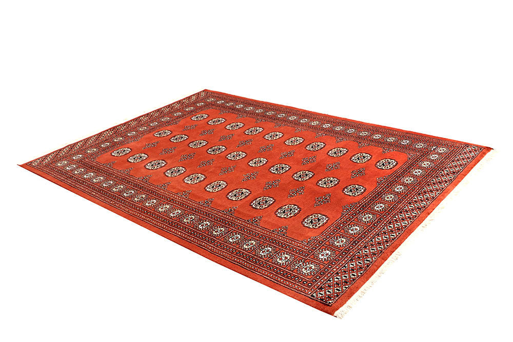 Coral Bokhara 5' 8 x 7' 11 - No. 60508 - ALRUG Rug Store