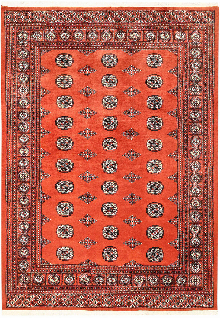 Coral Bokhara 5' 8 x 7' 11 - No. 60508 - ALRUG Rug Store