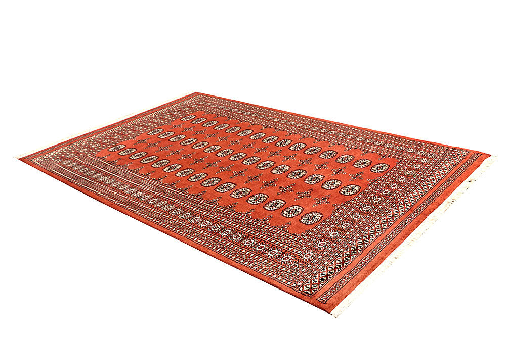 Coral Bokhara 5' 8 x 8' 8 - No. 60511 - ALRUG Rug Store