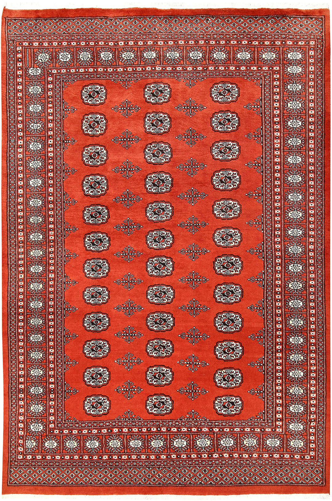 Orange Red Bokhara 5' 8 x 8' 6 - No. 60513 - ALRUG Rug Store