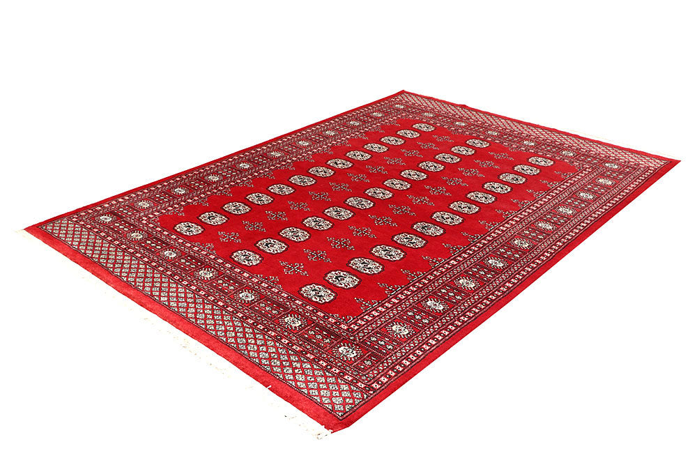 Firebrick Bokhara 5' 7 x 8' 3 - No. 60541 - ALRUG Rug Store