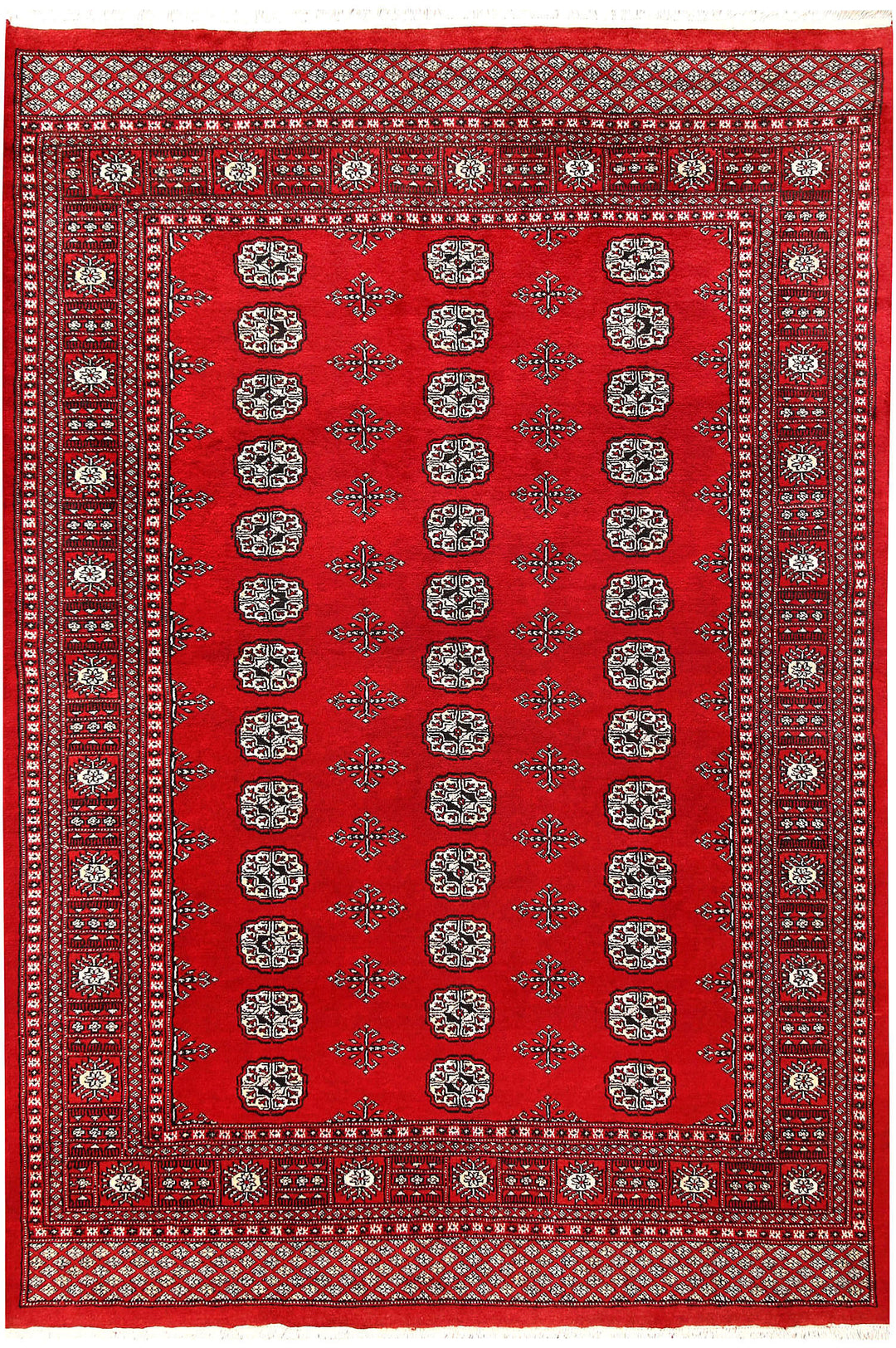 Firebrick Bokhara 5' 7 x 8' 3 - No. 60541 - ALRUG Rug Store