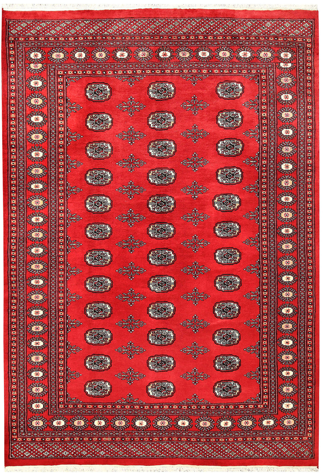 Red Bokhara 5' 9 x 8' 2 - No. 60544 - ALRUG Rug Store