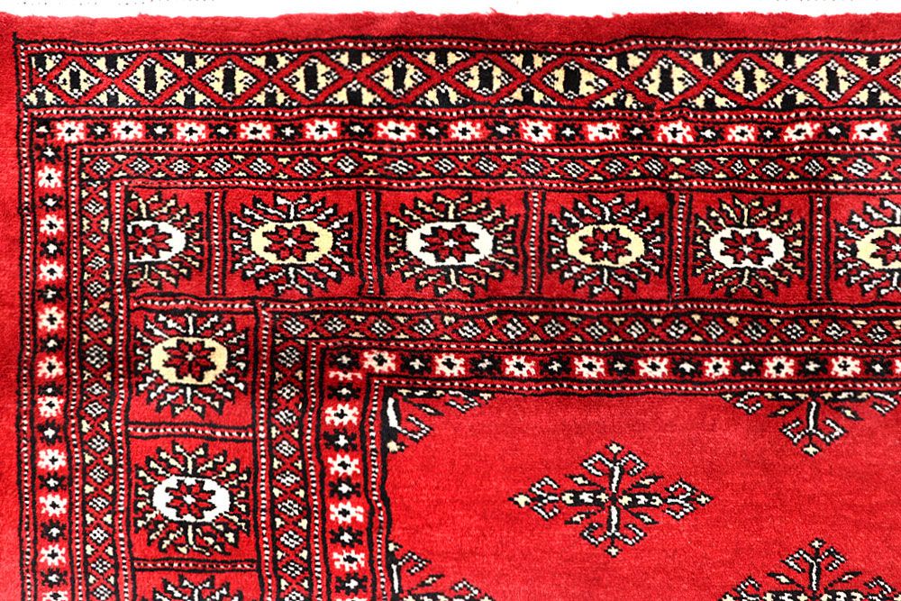Butterfly 5' 7 x 9' 2 - No. 60547 - ALRUG Rug Store