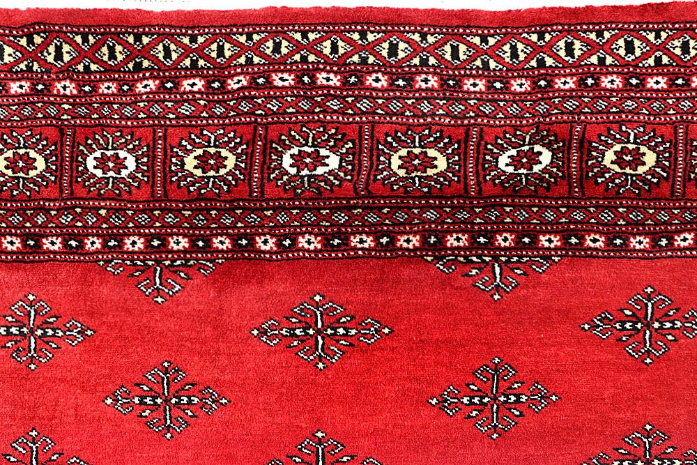 Butterfly 5' 7 x 9' 2 - No. 60547 - ALRUG Rug Store
