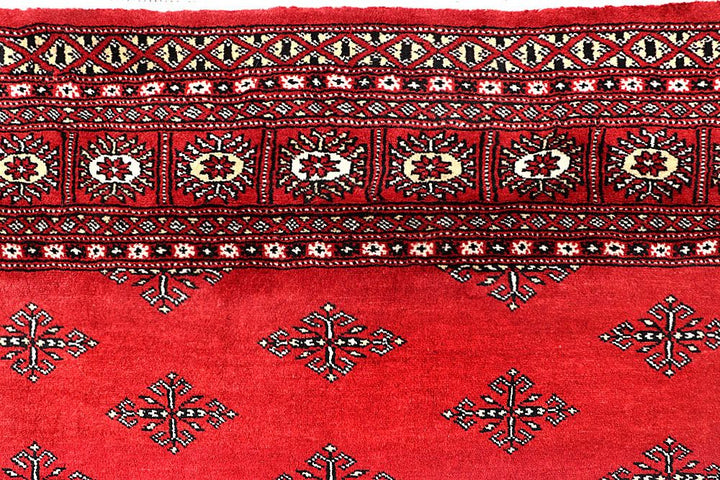 Butterfly 5' 7 x 9' 2 - No. 60547 - ALRUG Rug Store