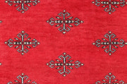 Butterfly 5' 7 x 9' 2 - No. 60547 - ALRUG Rug Store