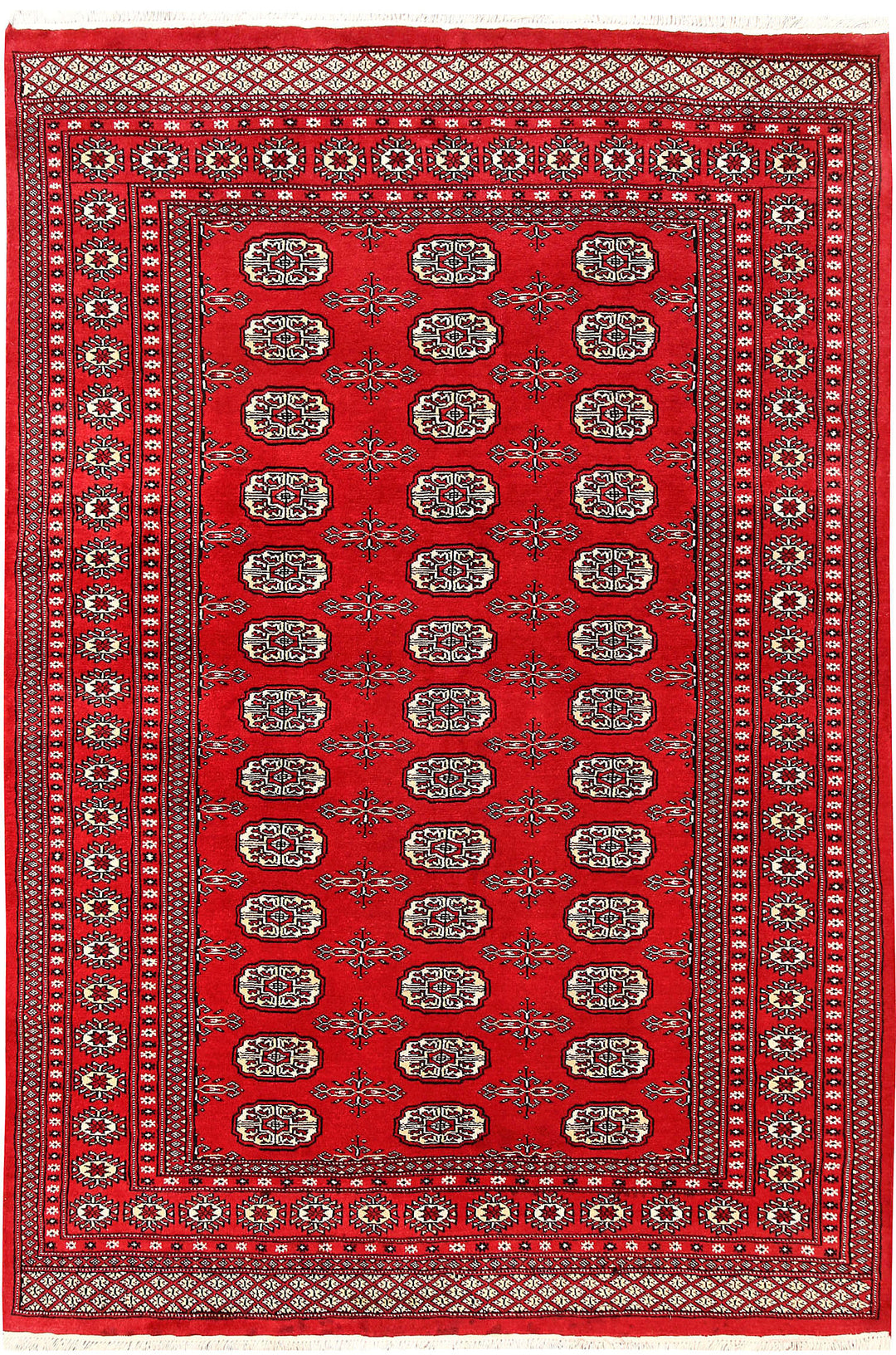 Firebrick Bokhara 5' 10 x 8' 2 - No. 60587 - ALRUG Rug Store