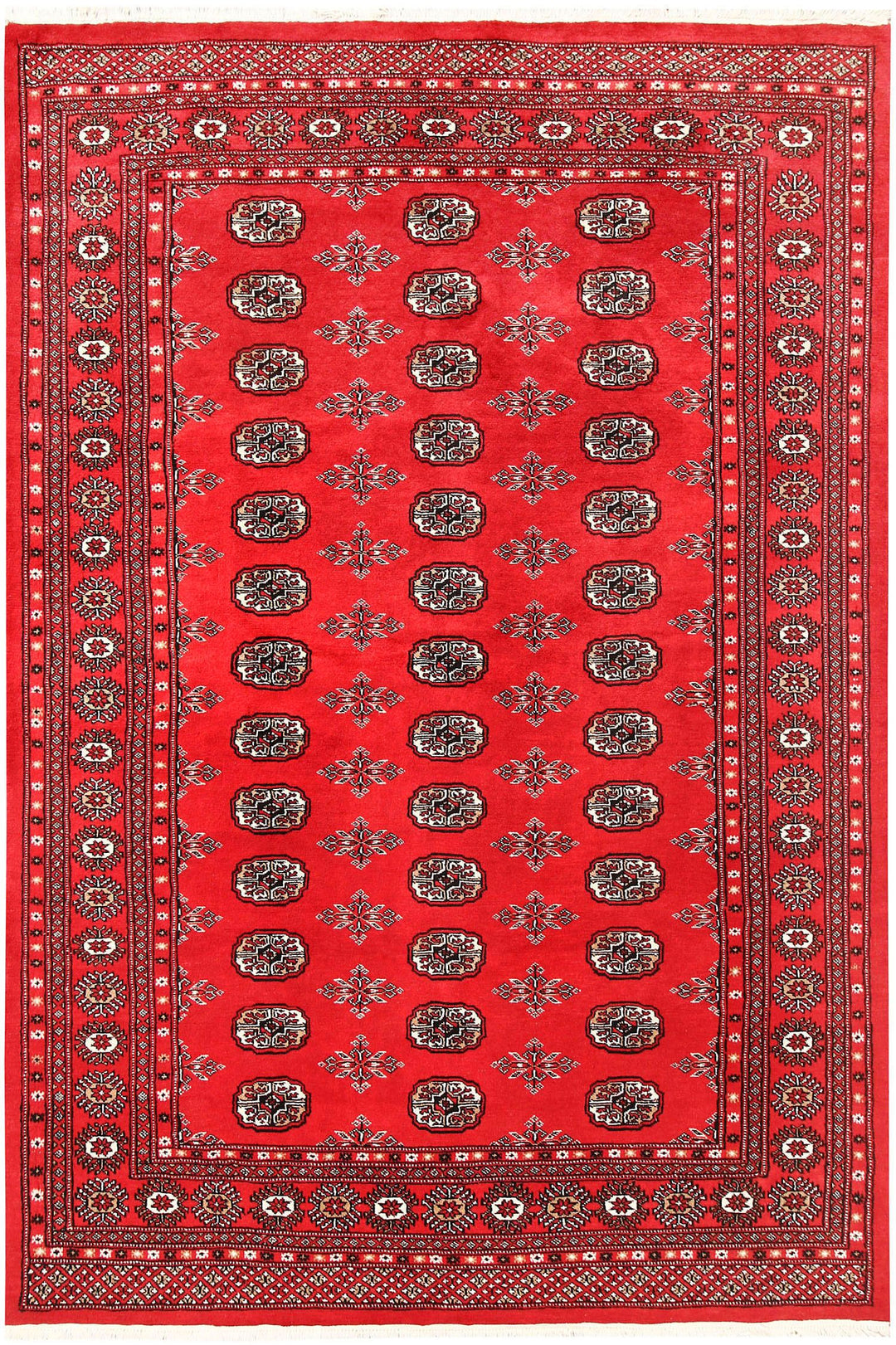 Bokhara 5' 7 x 8' 2 - No. 60592 - ALRUG Rug Store