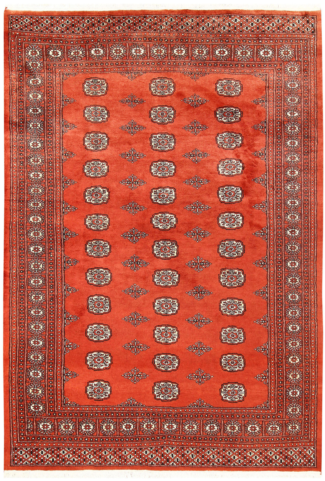 Tomato Bokhara 5' 7 x 8' 1 - No. 60607 - ALRUG Rug Store
