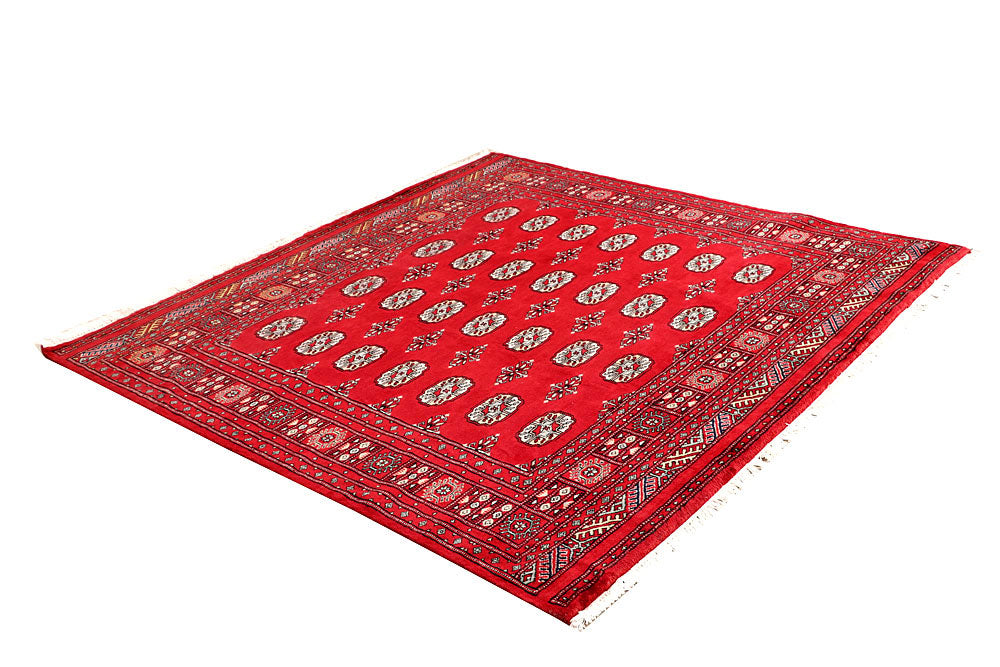 Red Bokhara 5' 11 x 5' 9 - No. 60793 - ALRUG Rug Store