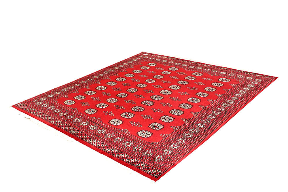 Red Bokhara 6' 7 x 7' 1 - No. 60795 - ALRUG Rug Store