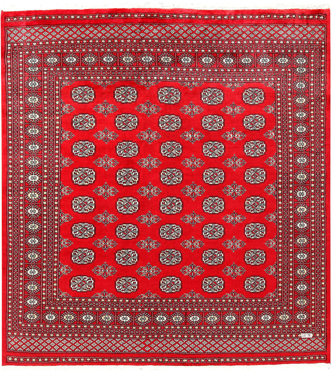 Red Bokhara 6' 6 x 7' 1 - No. 60800 - ALRUG Rug Store