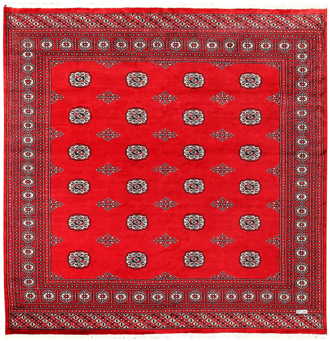 Red Bokhara 6' 9 x 6' 8 - No. 60801 - ALRUG Rug Store