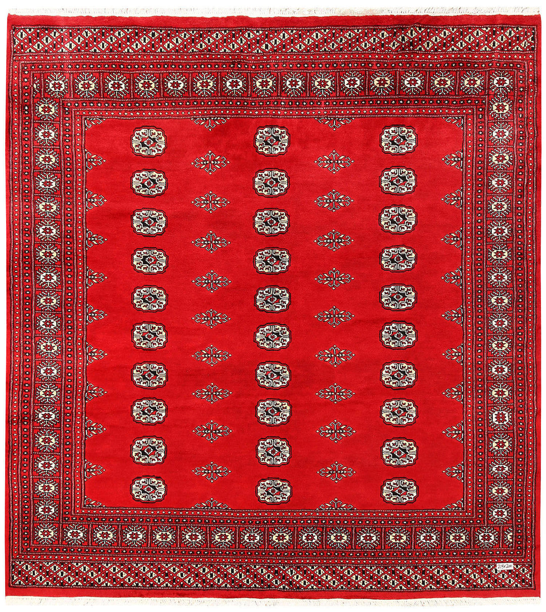 Red Bokhara 6' 7 x 7' 1 - No. 60802 - ALRUG Rug Store