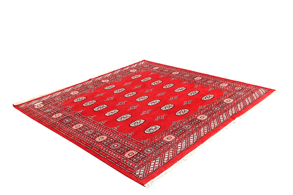 Red Bokhara 6' 9 x 6' 7 - No. 60807 - ALRUG Rug Store
