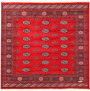 Red Bokhara 6' 9 x 6' 7 - No. 60807 - ALRUG Rug Store