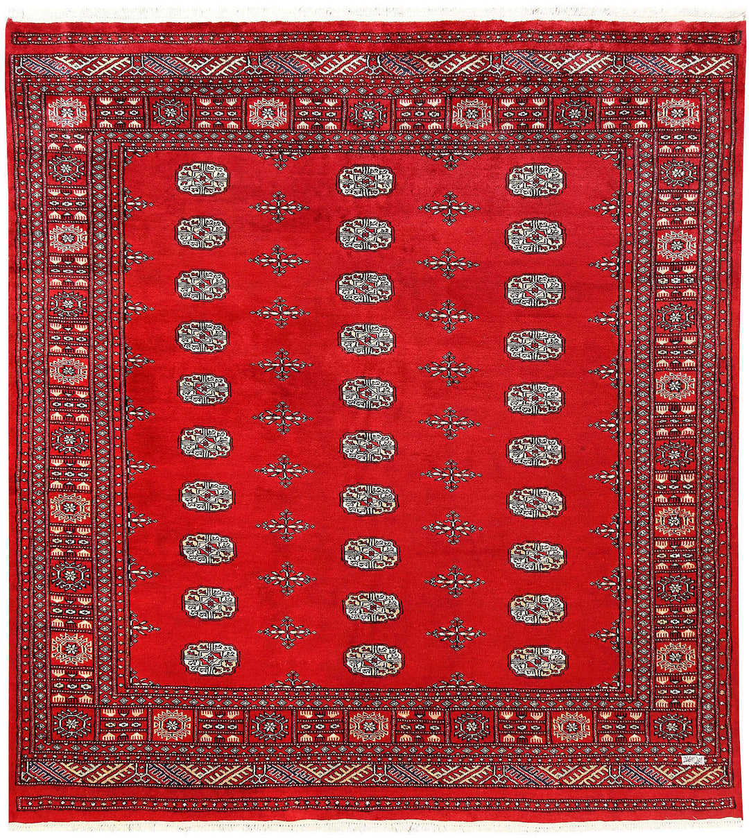Red Bokhara 6' 7 x 7' 1 - No. 60808 - ALRUG Rug Store