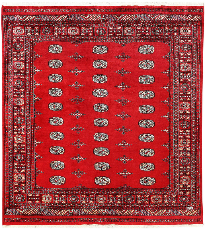 Red Bokhara 6' 7 x 7' 1 - No. 60808 - ALRUG Rug Store
