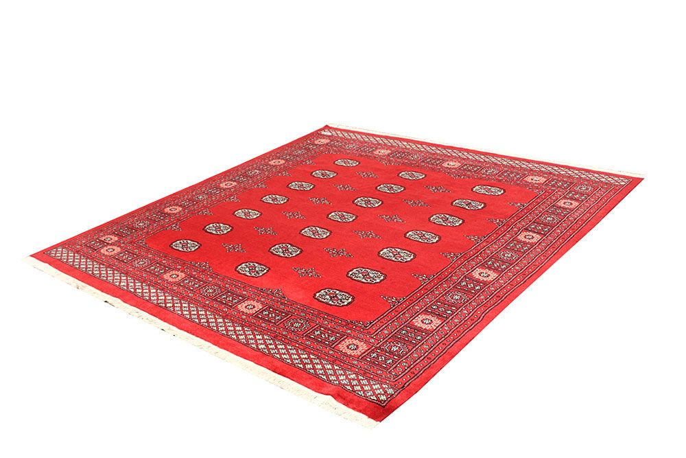 Bokhara 6' 9 x 6' 10 - No. 60810 - ALRUG Rug Store