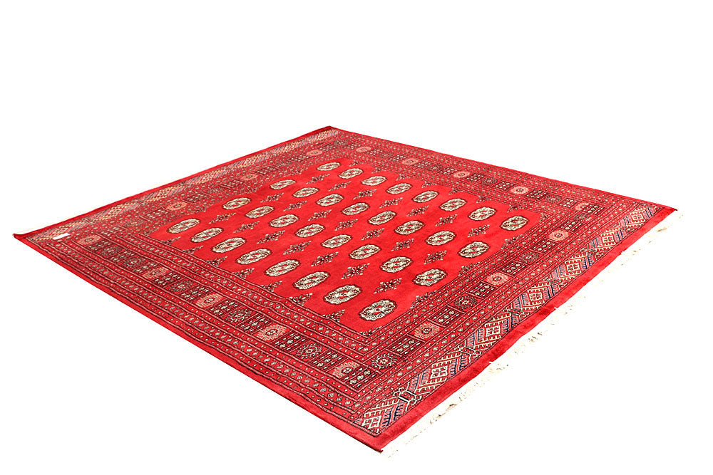 Red Bokhara 6' 8 x 7' - No. 60823 - ALRUG Rug Store
