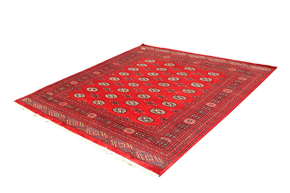 Red Bokhara 6' 8 x 7' - No. 60823 - ALRUG Rug Store
