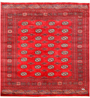 Red Bokhara 6' 8 x 7' - No. 60823 - ALRUG Rug Store