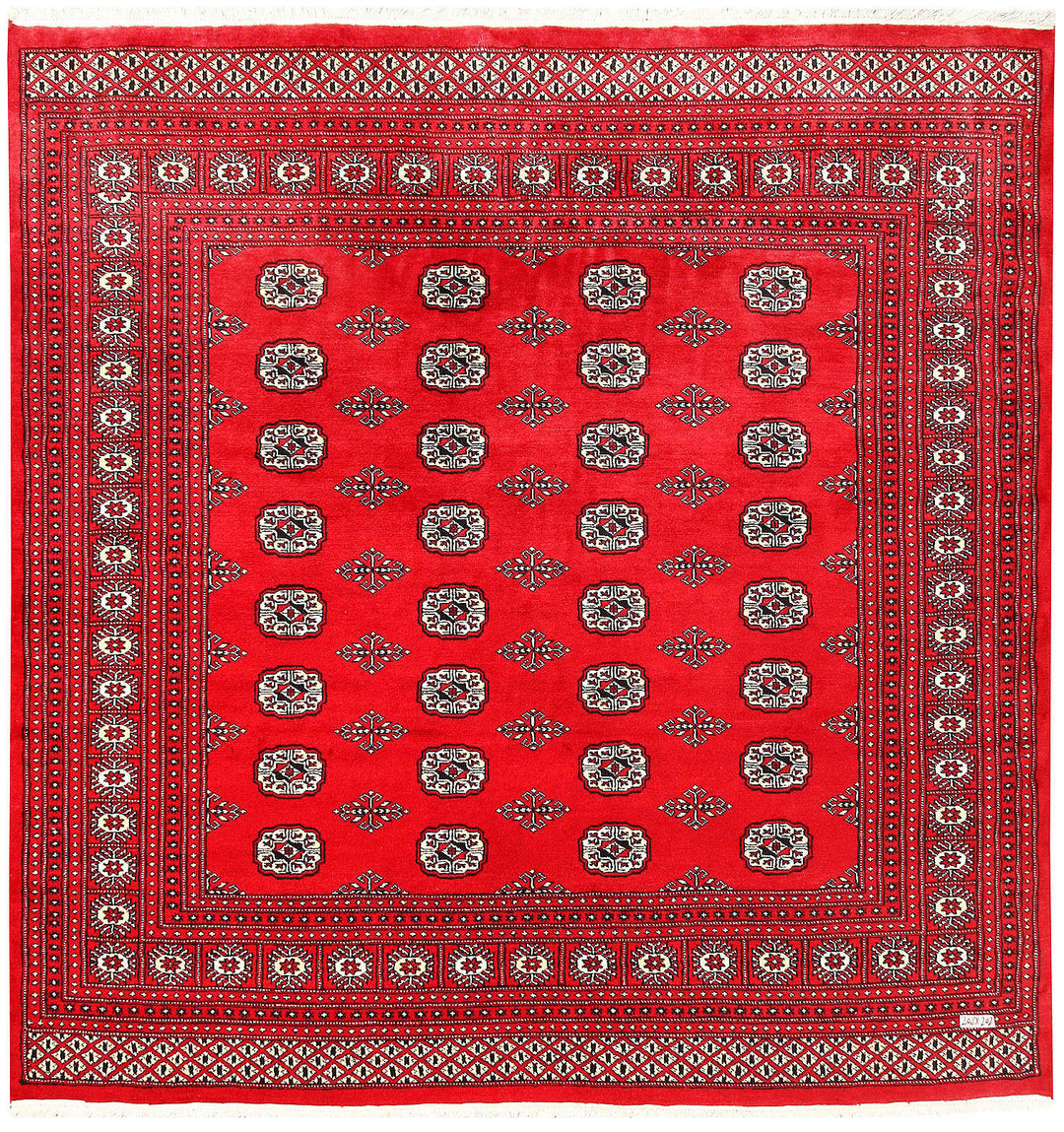 Red Bokhara 6' 8 x 6' 10 - No. 60826 - ALRUG Rug Store