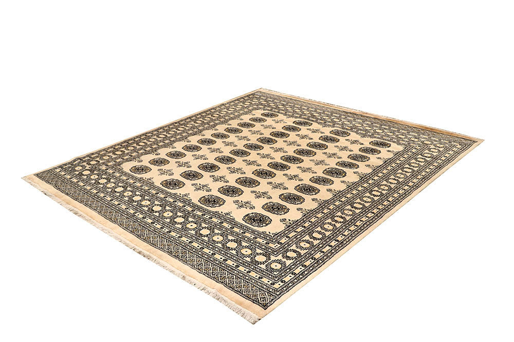 Blanched Almond Bokhara 6' 6 x 7' - No. 60830 - ALRUG Rug Store