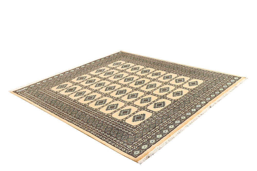 Navajo White Jaldar 6' 7 x 7' 1 - No. 60842 - ALRUG Rug Store