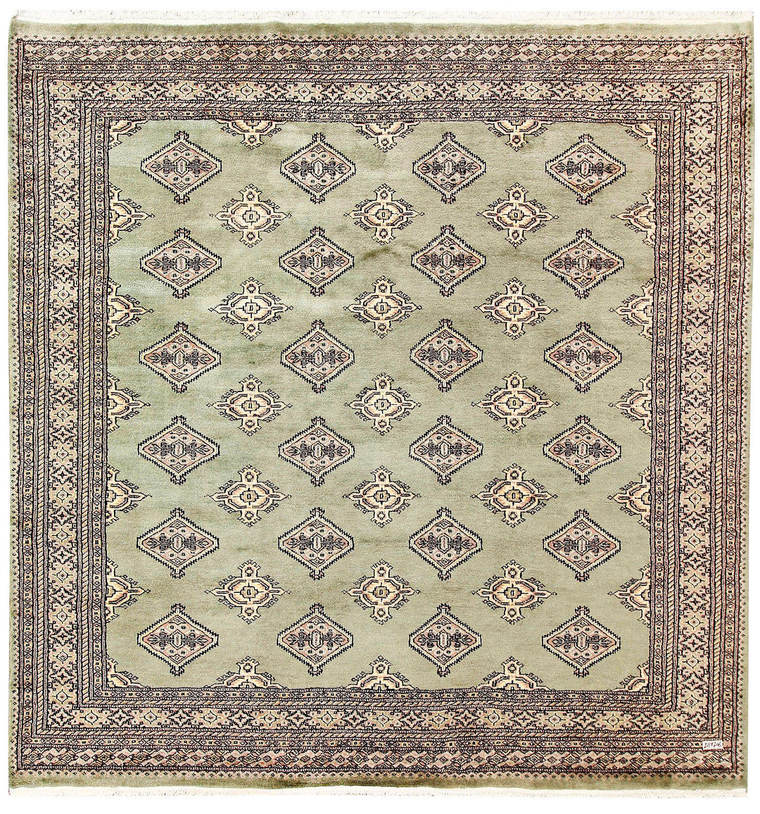 Olive Jaldar 6' 9 x 6' 11 - No. 60847 - ALRUG Rug Store