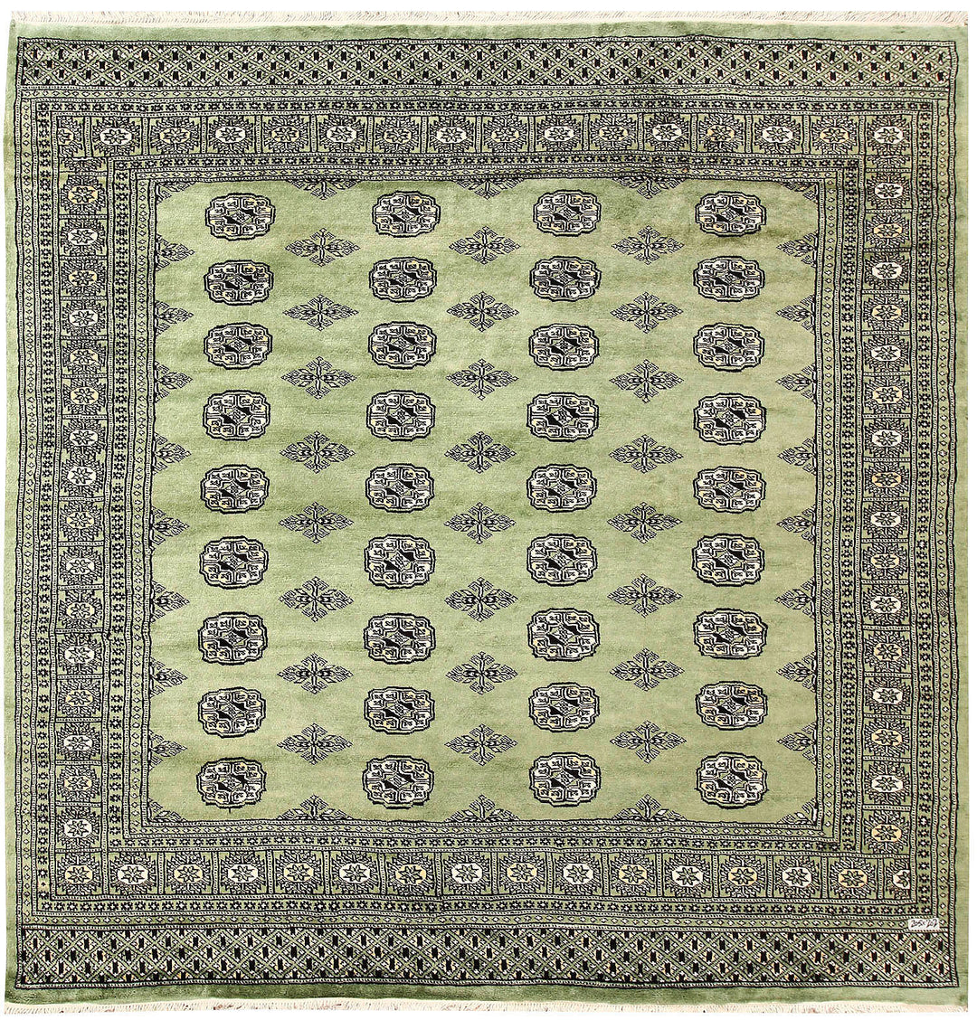 Dark Olive Green Bokhara 6' 8 x 6' 9 - No. 60855 - ALRUG Rug Store