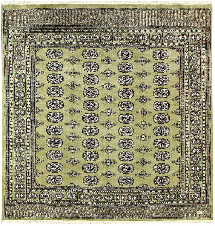 Olive Bokhara 6' 3 x 6' 5 - No. 60862 - ALRUG Rug Store
