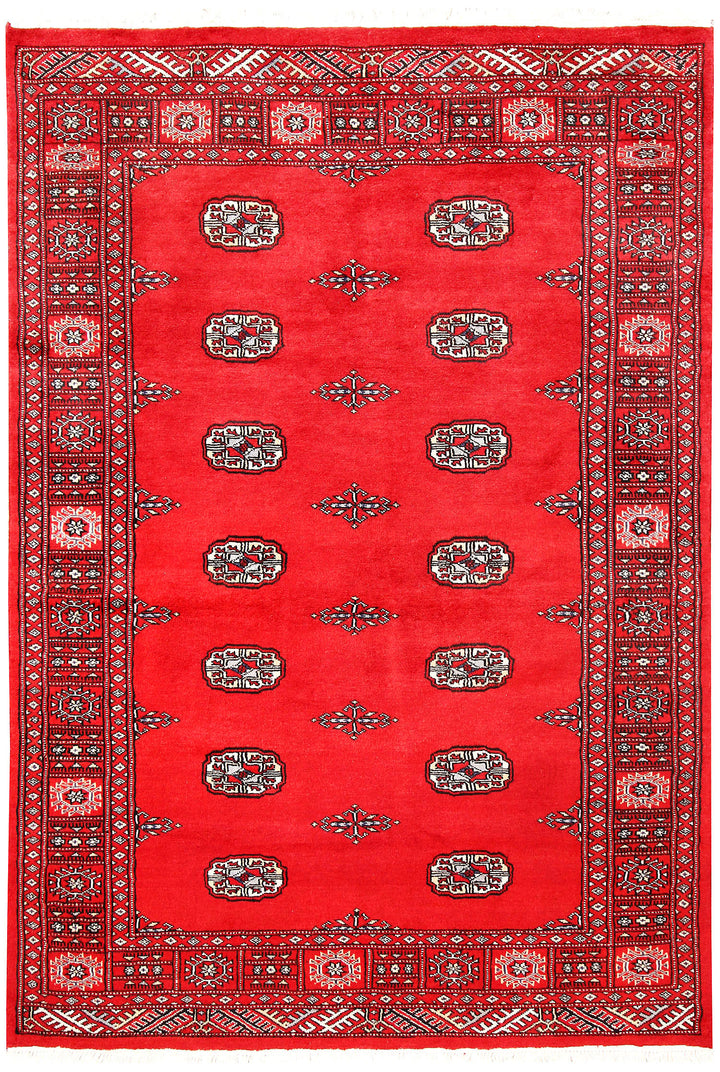 Red Bokhara 4' 1 x 5' 11 - No. 60975 - ALRUG Rug Store