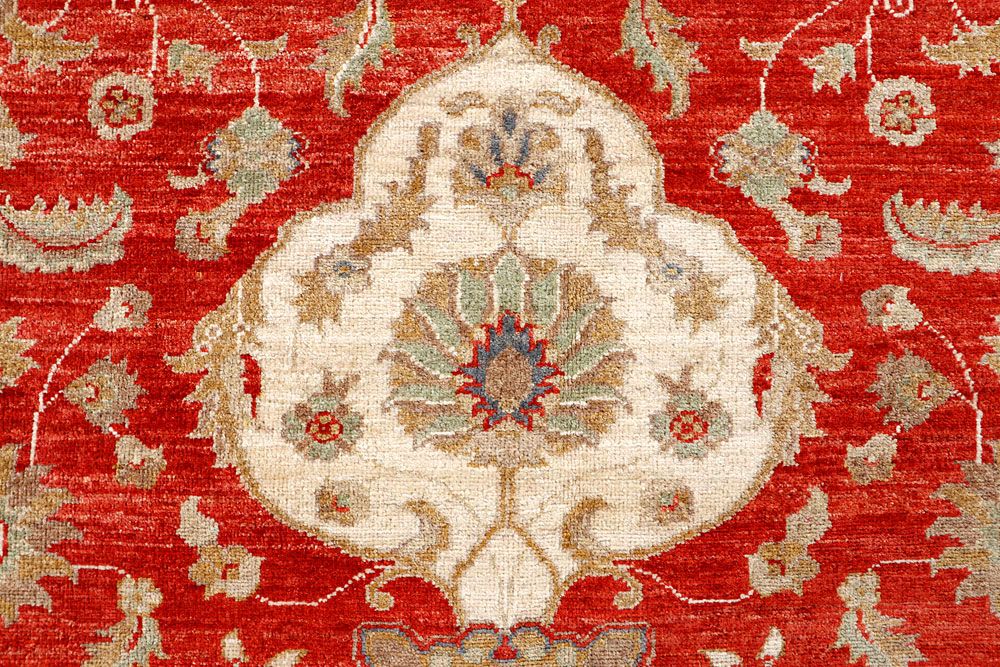 Ziegler 8' 2 x 9' 11 - No. 61300 - ALRUG Rug Store
